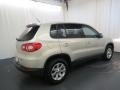 Reflex Silver Metallic - Tiguan S Photo No. 24