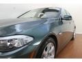 Tasman Green Metallic - 5 Series 550i xDrive Sedan Photo No. 8