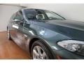Tasman Green Metallic - 5 Series 550i xDrive Sedan Photo No. 9