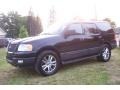 2005 Black Clearcoat Ford Expedition XLT 4x4  photo #9