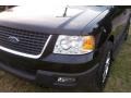 2005 Black Clearcoat Ford Expedition XLT 4x4  photo #30