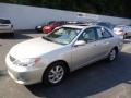 Lunar Mist Metallic - Camry XLE Photo No. 8