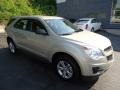 Gold Mist Metallic - Equinox LS AWD Photo No. 6