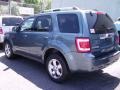 2010 Sterling Grey Metallic Ford Escape Limited V6 4WD  photo #3