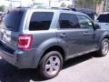 2010 Sterling Grey Metallic Ford Escape Limited V6 4WD  photo #4