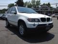 Alpine White - X5 3.0i Photo No. 3