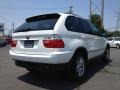 Alpine White - X5 3.0i Photo No. 4