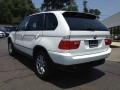 Alpine White - X5 3.0i Photo No. 6