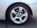 2009 Titanium Silver Metallic BMW 3 Series 328i Coupe  photo #7