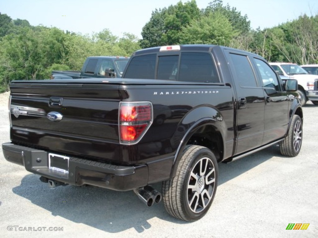 Lava Red Metallic 2010 Ford F150 Harley-Davidson SuperCrew 4x4 Exterior Photo #67357523