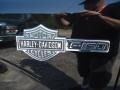 2010 Ford F150 Harley-Davidson SuperCrew 4x4 Marks and Logos