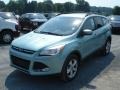 Frosted Glass Metallic - Escape SE 1.6L EcoBoost Photo No. 4