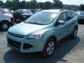 2013 Frosted Glass Metallic Ford Escape SE 1.6L EcoBoost  photo #4