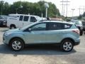 Frosted Glass Metallic 2013 Ford Escape SE 1.6L EcoBoost Exterior