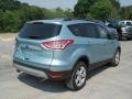 Frosted Glass Metallic 2013 Ford Escape SE 1.6L EcoBoost Exterior