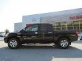 Galaxy Black - Titan SV Heavy Metal Chrome Edition Crew Cab Photo No. 2