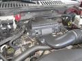 5.4 Liter SOHC 24V VVT Triton V8 Engine for 2005 Ford Expedition Eddie Bauer 4x4 #67364231