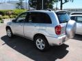 Titanium Metallic - RAV4  Photo No. 9