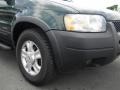 2002 Dark Highland Green Metallic Ford Escape XLT V6 4WD  photo #2
