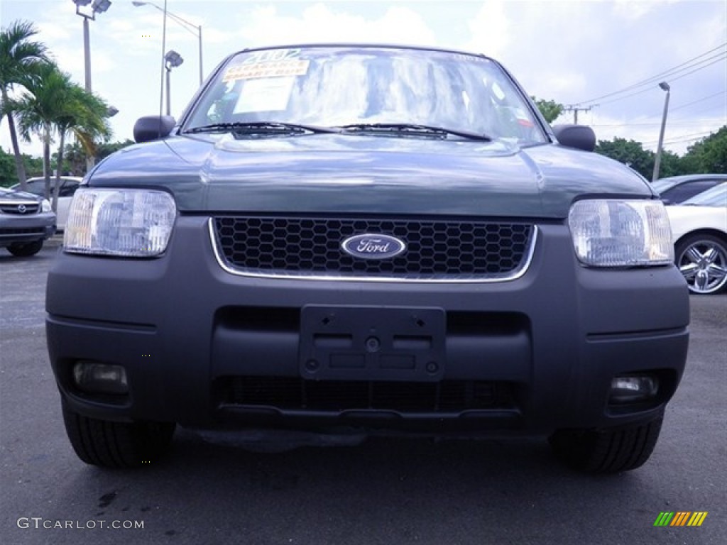 2002 Escape XLT V6 4WD - Dark Highland Green Metallic / Medium Parchment photo #4