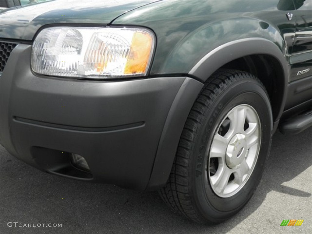 2002 Escape XLT V6 4WD - Dark Highland Green Metallic / Medium Parchment photo #7