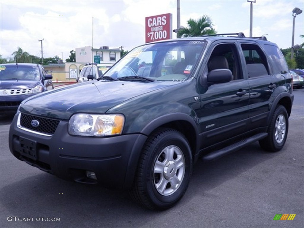 2002 Escape XLT V6 4WD - Dark Highland Green Metallic / Medium Parchment photo #8