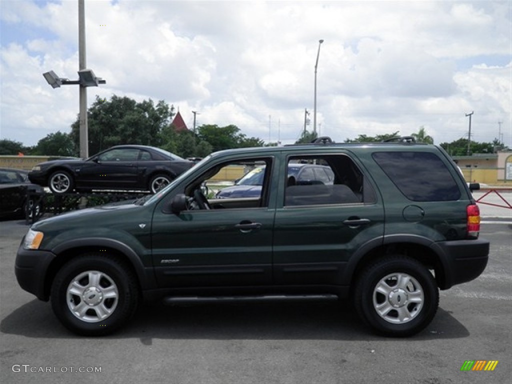 2002 Escape XLT V6 4WD - Dark Highland Green Metallic / Medium Parchment photo #9
