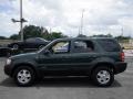 2002 Dark Highland Green Metallic Ford Escape XLT V6 4WD  photo #9