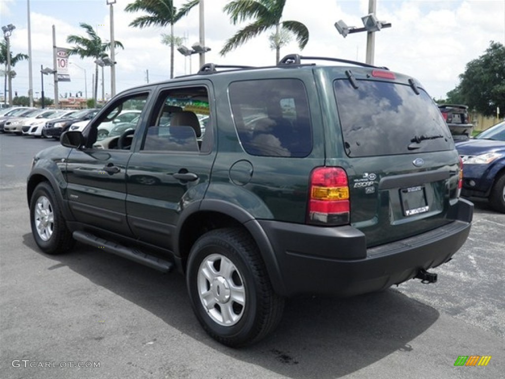 2002 Escape XLT V6 4WD - Dark Highland Green Metallic / Medium Parchment photo #10