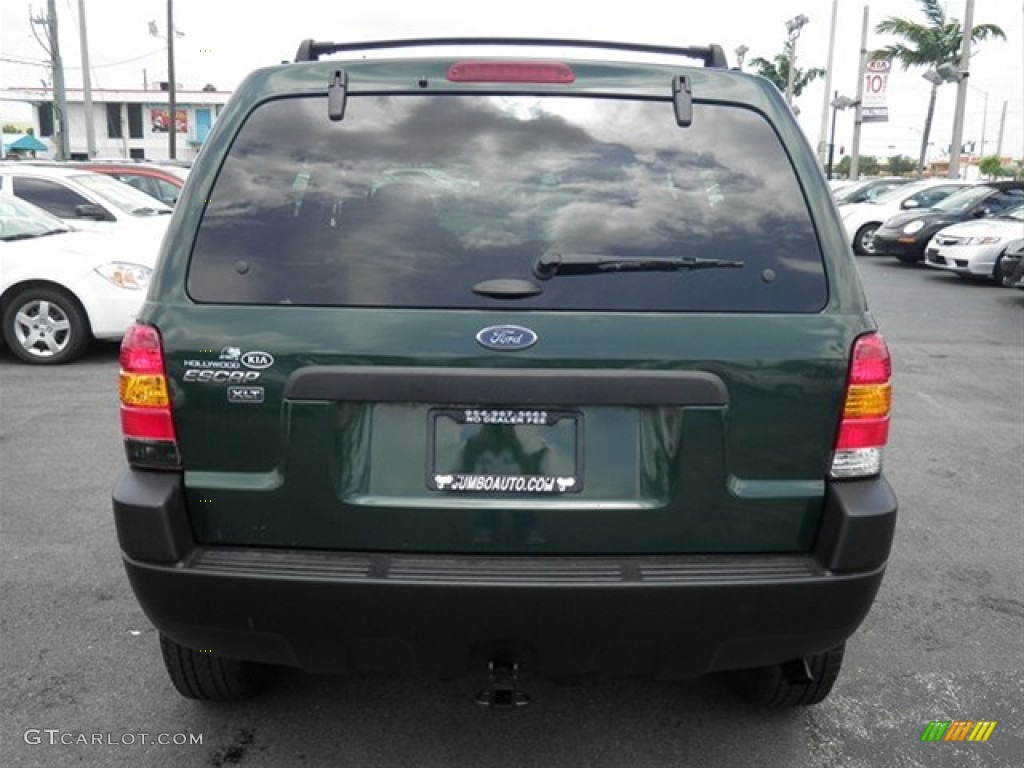 2002 Escape XLT V6 4WD - Dark Highland Green Metallic / Medium Parchment photo #13