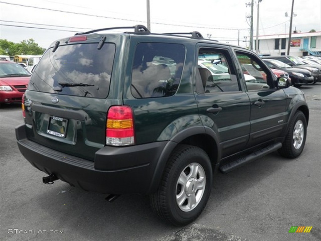 2002 Escape XLT V6 4WD - Dark Highland Green Metallic / Medium Parchment photo #16