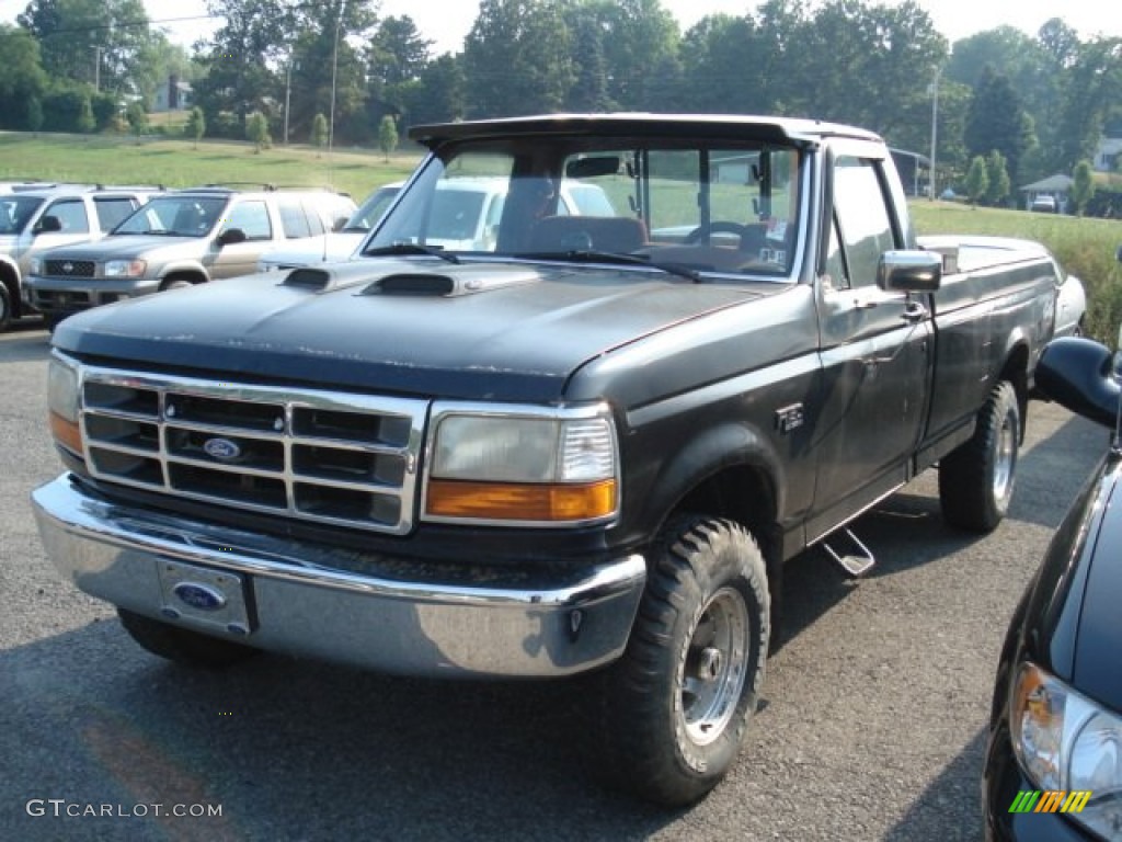 1995 F150 XLT Regular Cab 4x4 - Black / Gray photo #3