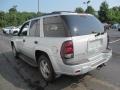 Moondust Metallic - TrailBlazer LS 4x4 Photo No. 7