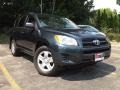 Black Forest Pearl - RAV4 4WD Photo No. 1
