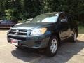 Black Forest Pearl - RAV4 4WD Photo No. 3