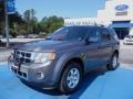 2009 Sterling Grey Metallic Ford Escape Limited V6  photo #1
