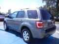 2009 Sterling Grey Metallic Ford Escape Limited V6  photo #3