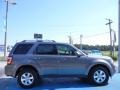 2009 Sterling Grey Metallic Ford Escape Limited V6  photo #6