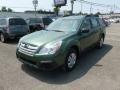 Cypress Green Pearl - Outback 2.5i Photo No. 3
