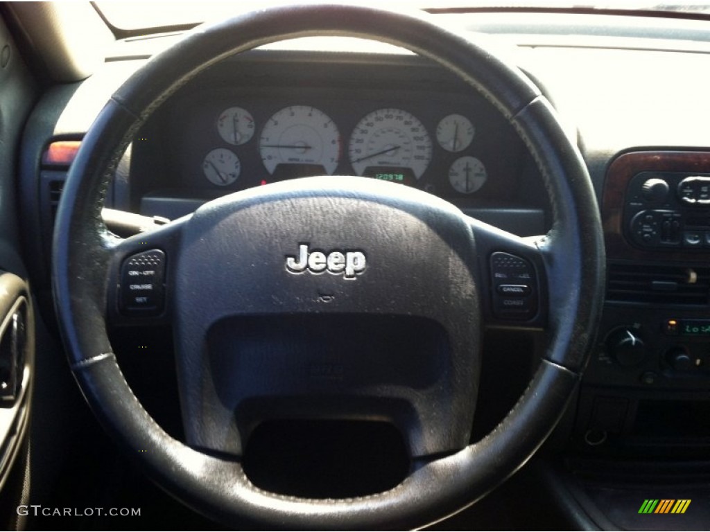 2004 Grand Cherokee Limited - Graphite Metallic / Dark Slate Gray photo #24