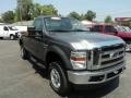 2010 Sterling Gray Metallic Ford F250 Super Duty FX4 Regular Cab 4x4  photo #24