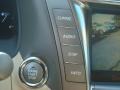 Black Sapphire Pearl - LS 460 Photo No. 15