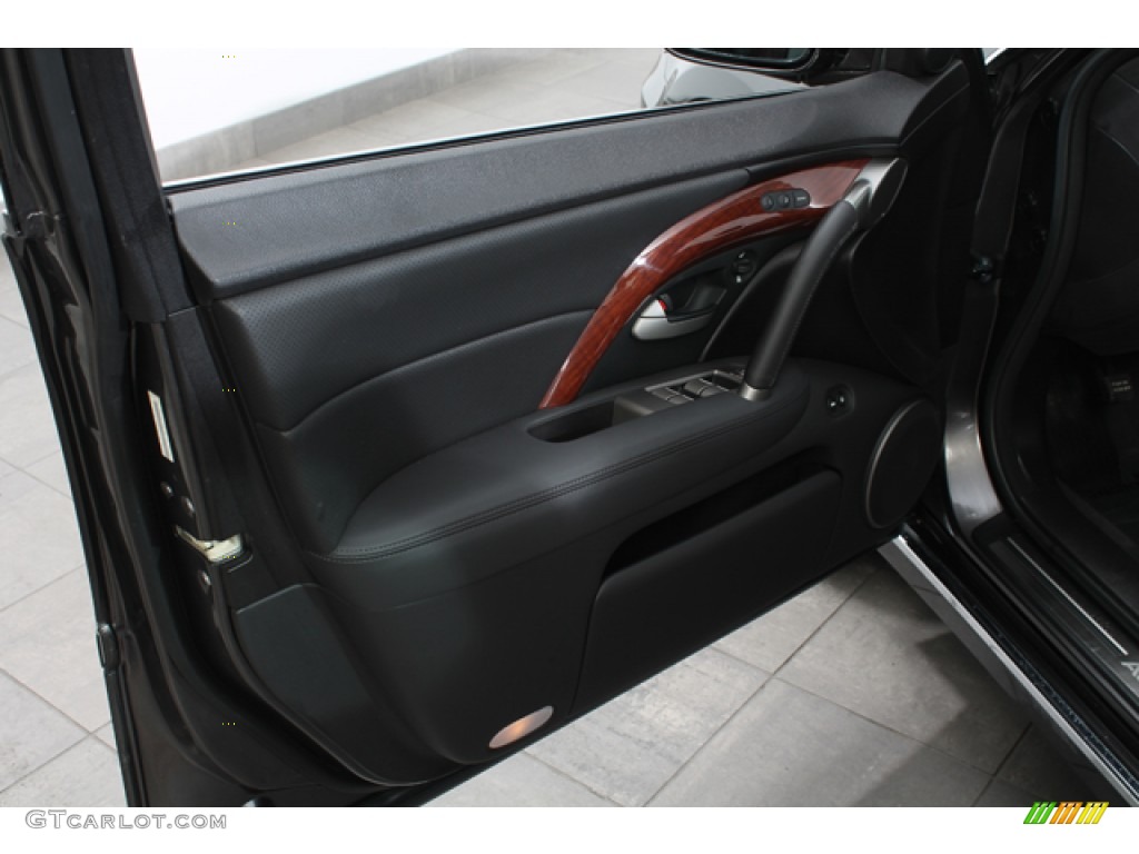 2010 Acura RL Technology Door Panel Photos