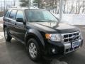 Black - Escape Limited V6 4WD Photo No. 16