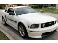 2008 Performance White Ford Mustang GT/CS California Special Coupe  photo #13