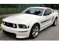 2008 Performance White Ford Mustang GT/CS California Special Coupe  photo #14