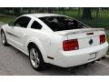 2008 Performance White Ford Mustang GT/CS California Special Coupe  photo #15