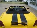 Viper Race Yellow - Viper SRT-10 Photo No. 43