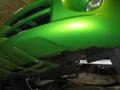 2008 Viper Snakeskin Green Pearlcoat Dodge Viper SRT-10  photo #23