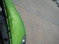 2008 Viper Snakeskin Green Pearlcoat Dodge Viper SRT-10  photo #41